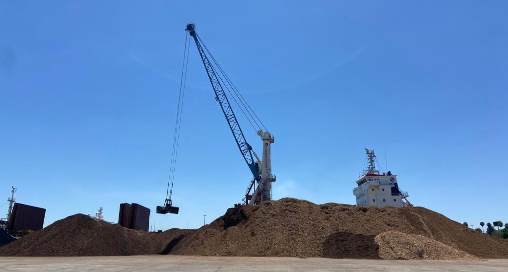 Estibadora Sevillana embarca 4.500 toneladas de biomasa en el Puerto de Sevilla en una operativa destacada por su valor sostenible